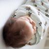 HALO Disney Baby 100% Cotton Sleepsack Swaddle, 3-Way Adjustable Wearable Blanket, TOG 1.5, Winnie Frolic, Newborn, 0-3 Months(Mickey Fun)
