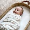 HALO Sleepsack, 100% Cotton Wearable Blanket, Swaddle Transition Sleeping Bag, TOG 0.5(Winnie Pooh Frolic)