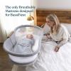 HALO DreamWeave Breathable Mesh BassiNest Pad – 100% Washable Cover and Core – Hypoallergenic, Non-Toxic Materials