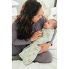 HALO 100% Cotton Sleepsack Swaddle, 3-Way Adjustable Wearable Blanket, TOG 1.5(Lion King Friends)