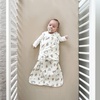 HALO 100% Cotton Sleepsack Swaddle, 3-Way Adjustable Wearable Blanket, TOG 1.5(Winnie Frolic)