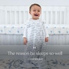 HALO Micro-Fleece Wearable Blanket, Swaddle Transition Sleeping Bag, TOG 1.0(Grey Lion)